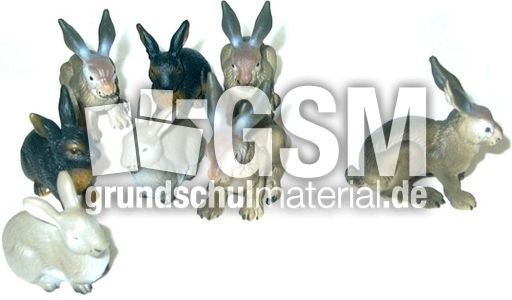Hasen8-1.jpg